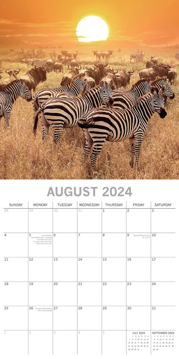 2024 Safari Wall Calendar (Online Exclusive)