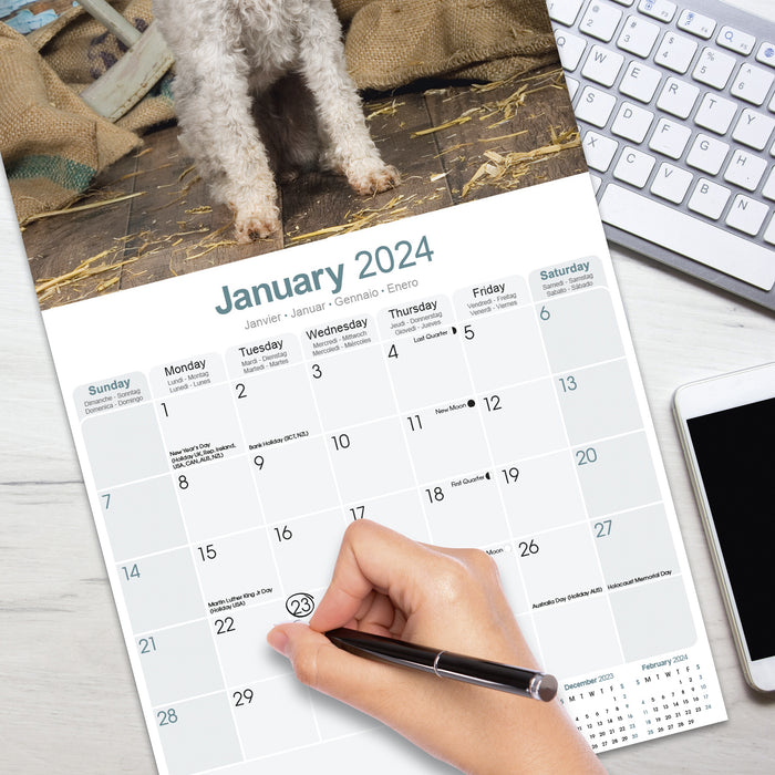2024 Bedlington Terrier Wall Calendar (Online Exclusive)