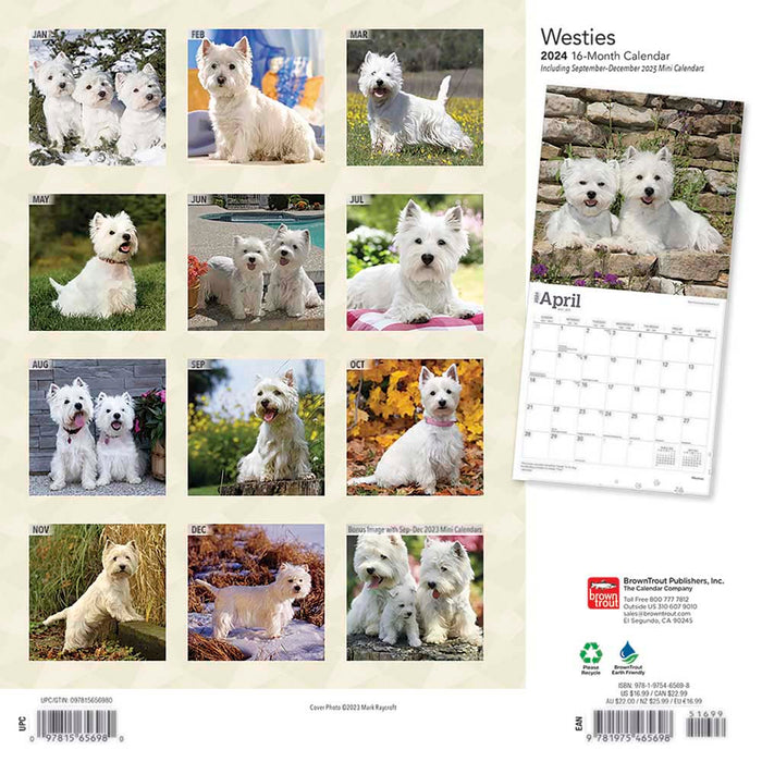 2024 West Highland White Terriers Wall Calendar