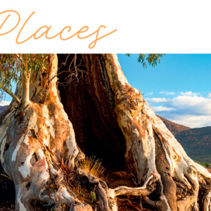 12 Nature Calendars That Bring the Wild to Your Wall