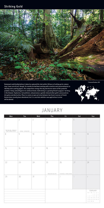 2024 Wildlife Photographer of the Year Wall Calendar
