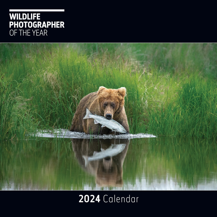 2024 Wildlife Photographer of the Year Wall Calendar