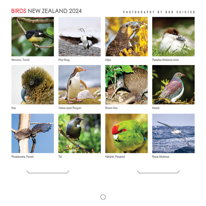 2024 New Zealand Birds Mini Wall Calendar