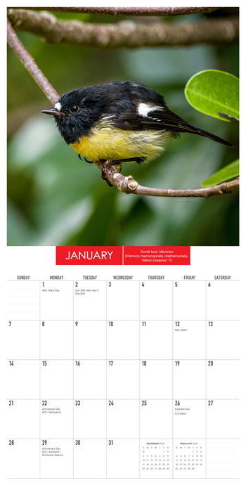 2024 New Zealand Birds Mini Wall Calendar