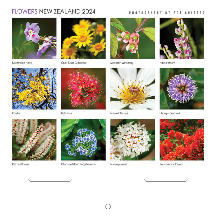 2024 New Zealand Flowers Mini Wall Calendar