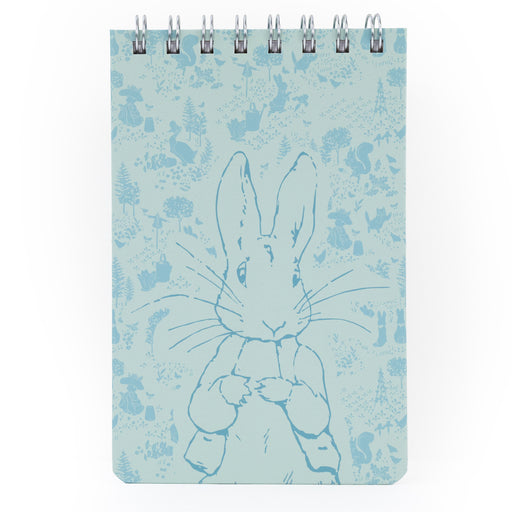 Chunky Notebook Peter Rabbit