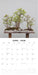 Bonsai 2026 Square Wall Calendar (Online Exclusive)