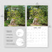 Bonsai 2027 Square Wall Calendar
