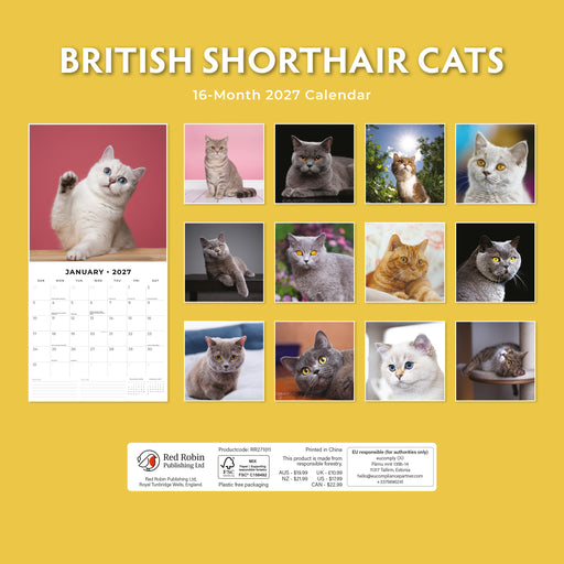 British Shorthaired Cat 2027 Square Wall Calendar