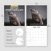 British Shorthaired Cat 2027 Square Wall Calendar