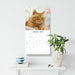 British Shorthaired Cat 2027 Square Wall Calendar