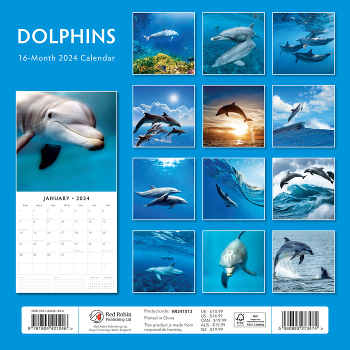 2024 Dolphins Wall Calendar