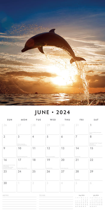 2024 Dolphins Wall Calendar