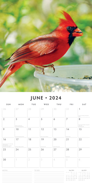 2024 Exotic Birds Wall Calendar