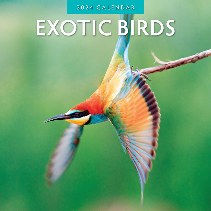 2024 Exotic Birds Wall Calendar