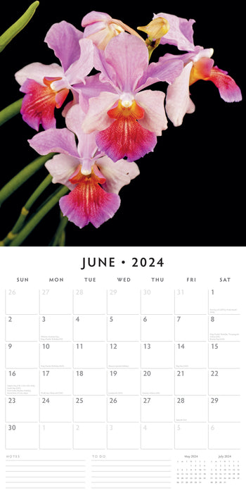 2024 Orchids Wall Calendar