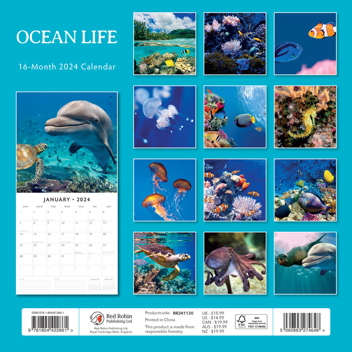2024 Ocean Life Wall Calendar