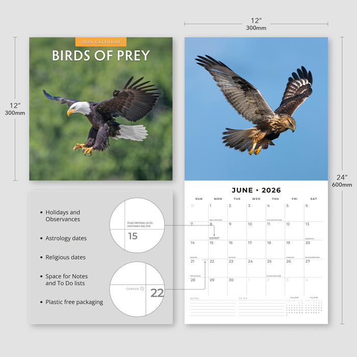 Birds of Prey 2026 Square Wall Calendar