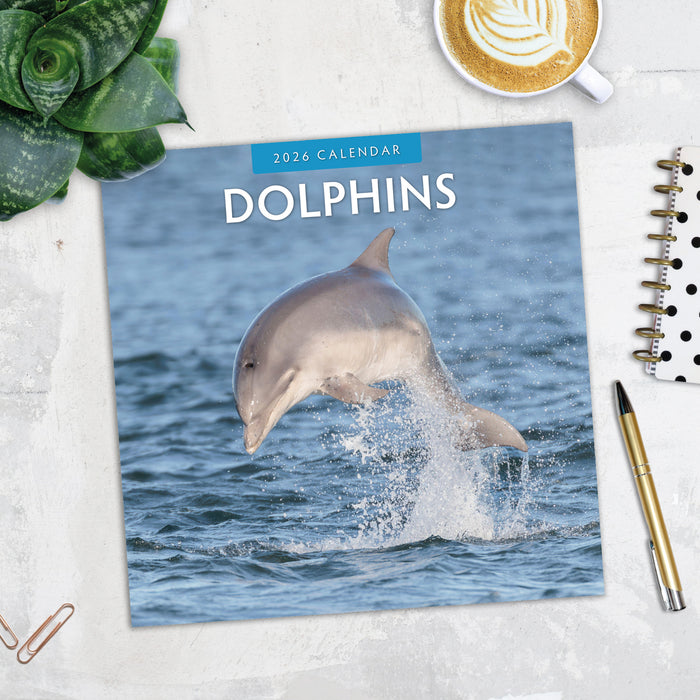 Dolphins 2026 Square Wall Calendar