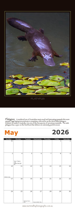 Australian Wildlife 2026 Wall Calendar
