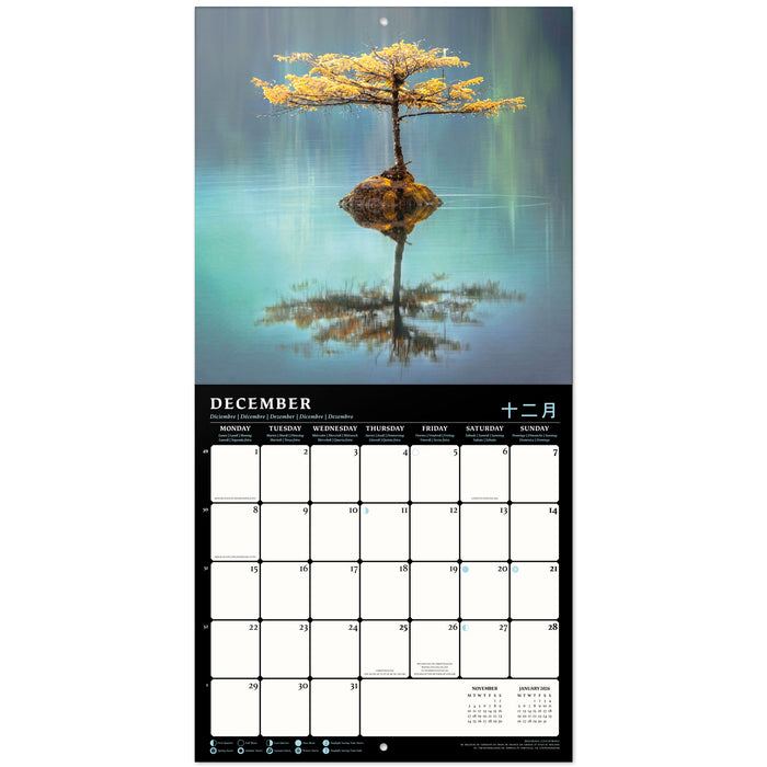 2025 Feng Shui Meditation Wall Calendar