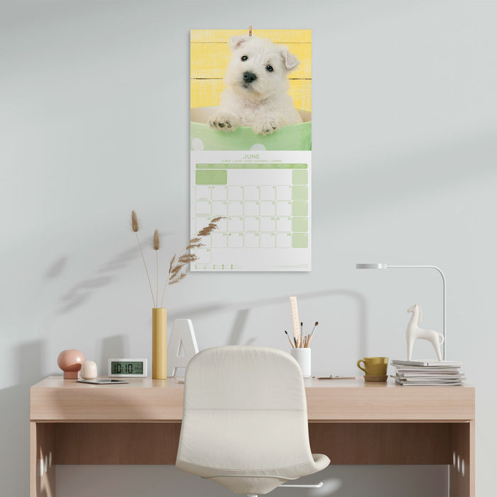 2025 Dogs Wall Calendar