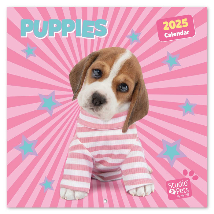 2025 Studio Pets Puppies Wall Calendar