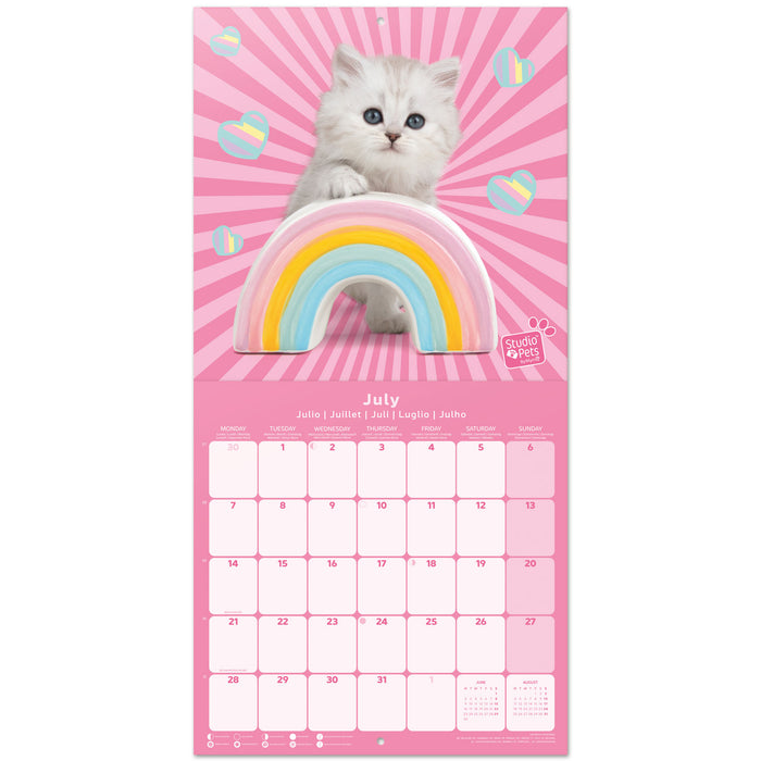 2025 Studio Pets Kittens Wall Calendar