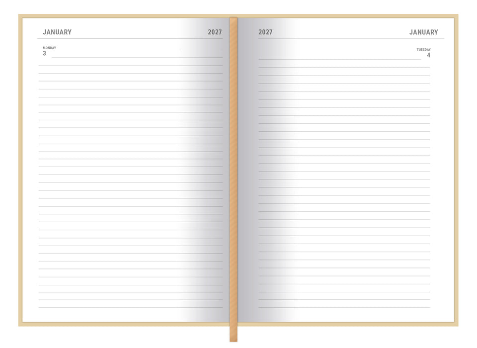 Winnie The Pooh 2027 Daily Diary