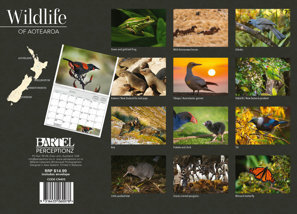 2024 Wildlife of Aotearoa Wall Calendar