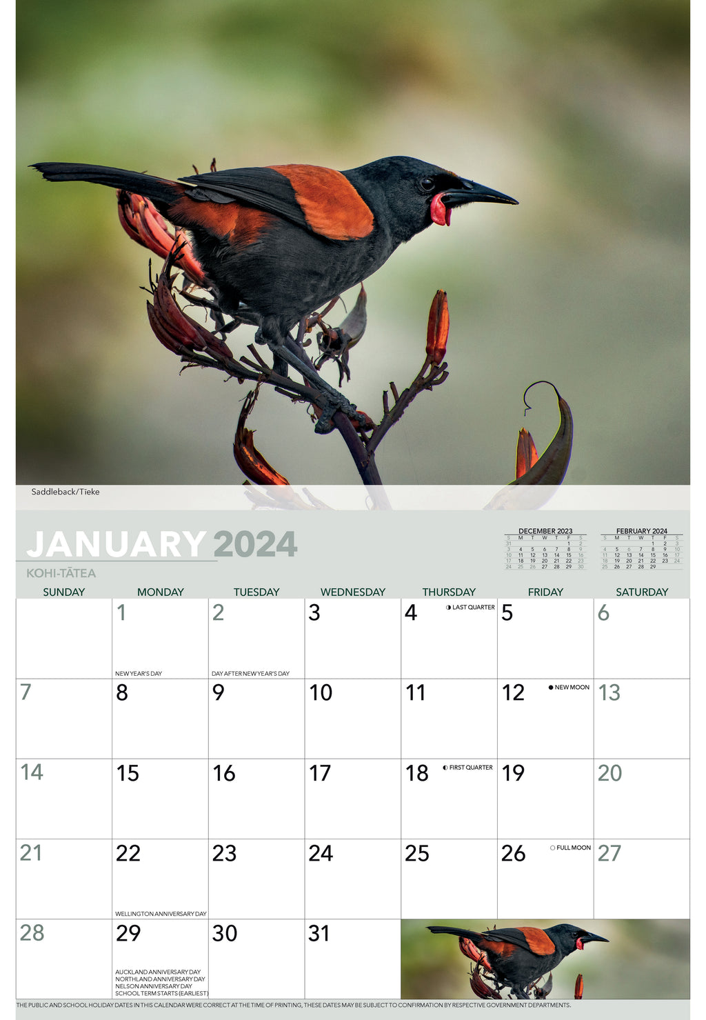 Shop 2024 Kiwiana Calendars Online Calendar Club