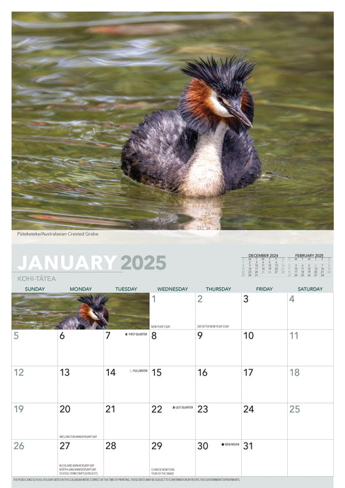 2025 Wildlife of Aotearoa Wall Calendar
