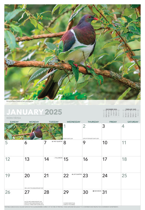 2025 Birds of Aotearoa Wall Calendar
