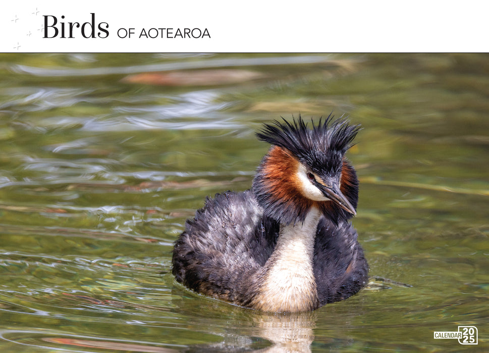 2025 Birds of Aotearoa Wall Calendar
