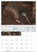 Wildlife of Aotearoa 2026 A4 Wall Calendar