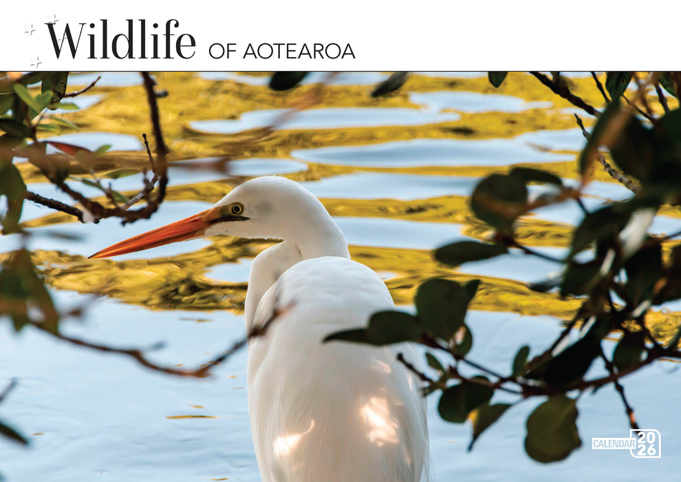 Wildlife of Aotearoa 2026 A4 Wall Calendar