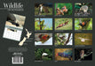 Wildlife of Aotearoa 2027 A4 Wall Calendar