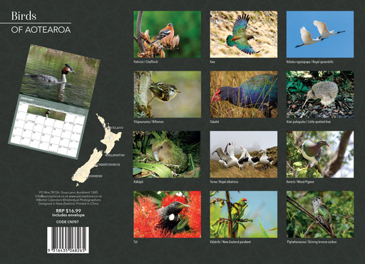 Birds of Aotearoa 2027 Wall Calendar