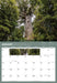 Northland 2027 Wall Calendar