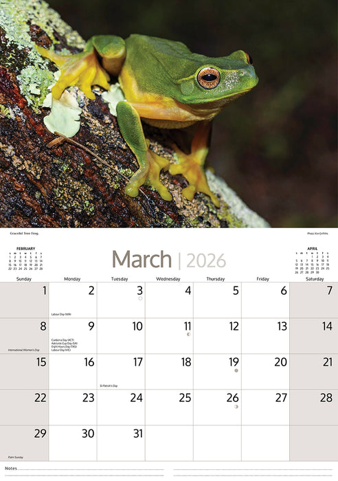 Australian Wildlife 2026 A4 Wall Calendar