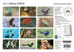 Australian Birds 2026 A4 Wall Calendar