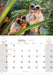 Australian Birds 2027 Wall Calendar