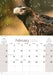 Australian Birds 2026 A4 Wall Calendar