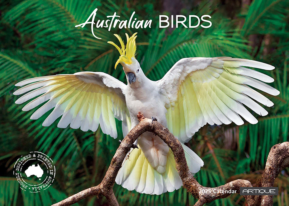 2025 Australian Birds Wall Calendar