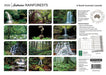 Australian Rainforests 2026 A4 Wall Calendar