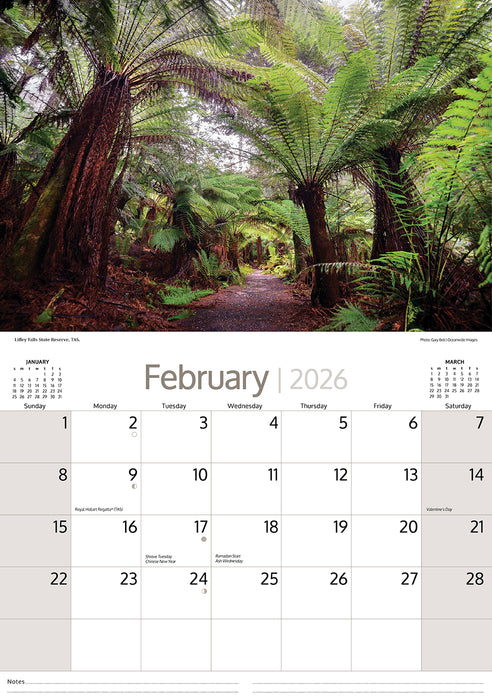 Australian Rainforests 2026 A4 Wall Calendar