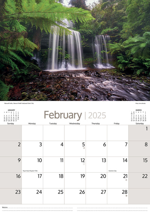 2025 Australian Rainforests Wall Calendar