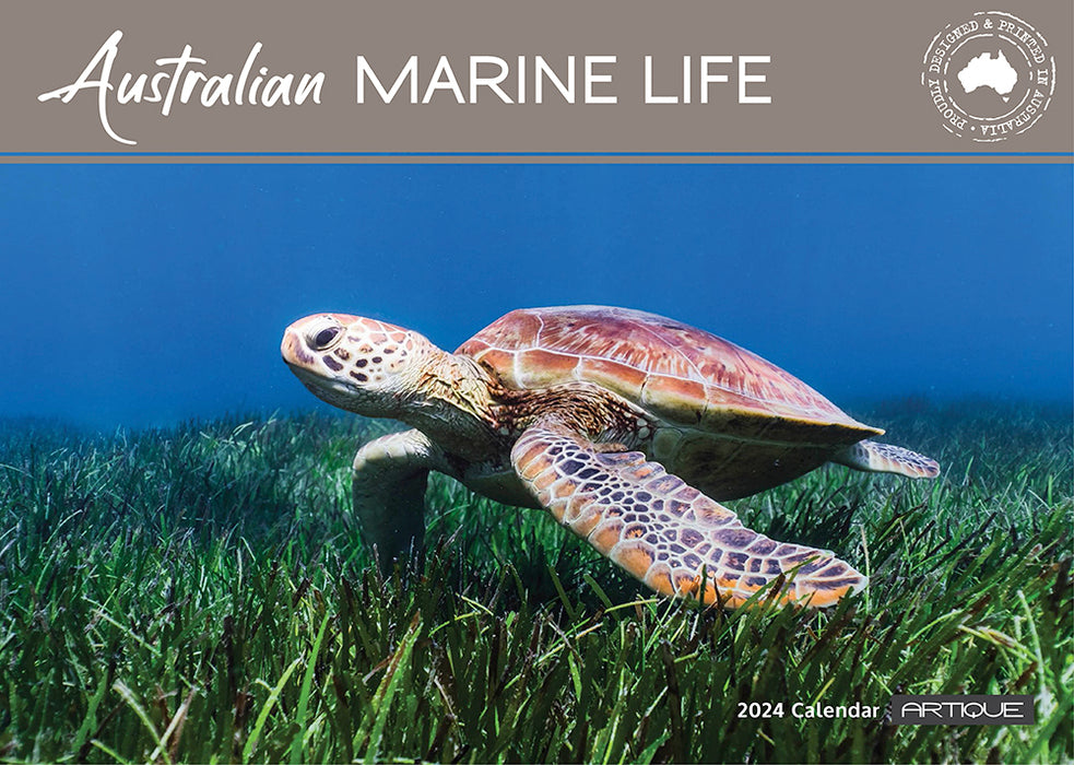 2024 Australian Marine Life Wall Calendar