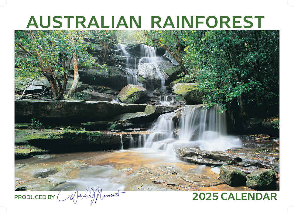 2025 Australian Rainforest Wall Calendar