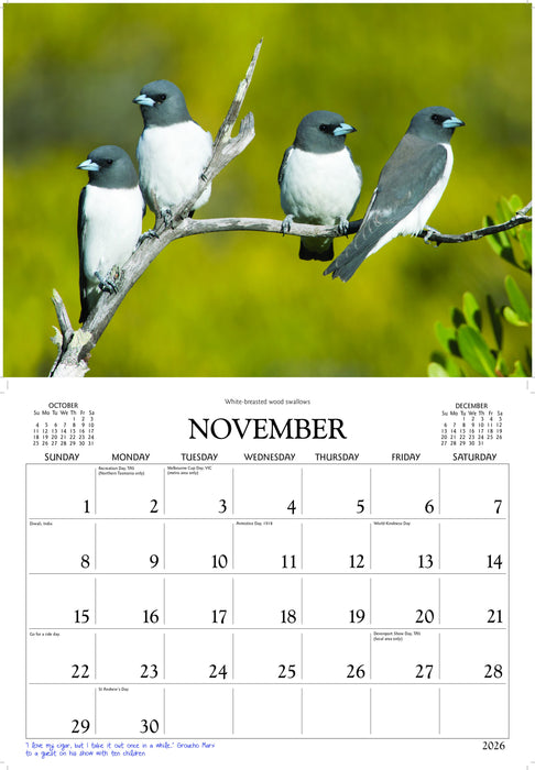 Birds of Australia 2026 A4 Wall Calendar